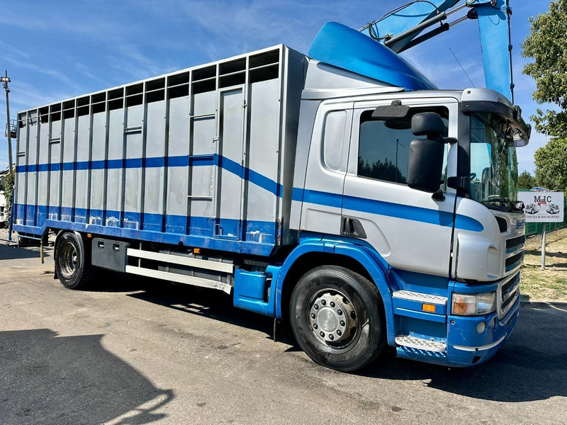 Scania P310 4x2 CLOSED ALU BOX 7m - MANUAL - A/C - BELGIAN TRUCK - Bakwagen: afbeelding 1 Scania P310 4x2 CLOSED ALU BOX 7m - MANUAL - A/C - BELGIAN TRUCK - Bakwagen: afbeelding 1