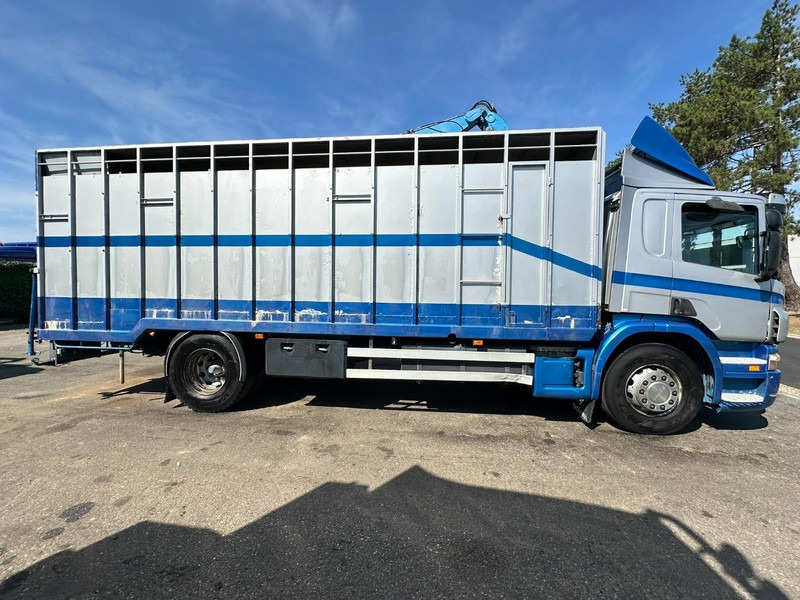 Scania P310 4x2 LIVESTOCK / VEEWAGEN / TIERTRANSPORT / BETAILLERE - ALU BOX 7m - MANUAL - A/C - BELGIAN TRUCK - Veewagen vrachtwagen: afbeelding 4 Scania P310 4x2 LIVESTOCK / VEEWAGEN / TIERTRANSPORT / BETAILLERE - ALU BOX 7m - MANUAL - A/C - BELGIAN TRUCK - Veewagen vrachtwagen: afbeelding 4