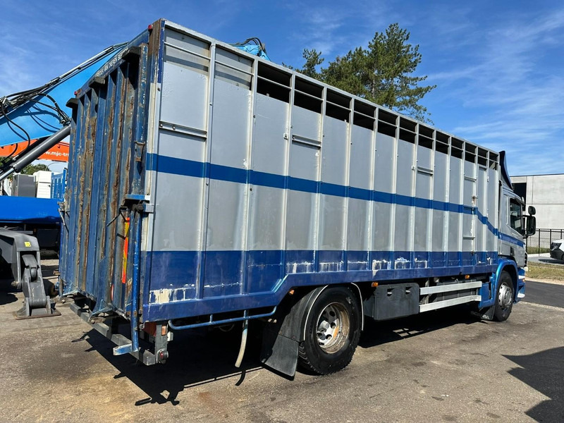 Scania P310 4x2 LIVESTOCK / VEEWAGEN / TIERTRANSPORT / BETAILLERE - ALU BOX 7m - MANUAL - A/C - BELGIAN TRUCK - Veewagen vrachtwagen: afbeelding 5 Scania P310 4x2 LIVESTOCK / VEEWAGEN / TIERTRANSPORT / BETAILLERE - ALU BOX 7m - MANUAL - A/C - BELGIAN TRUCK - Veewagen vrachtwagen: afbeelding 5