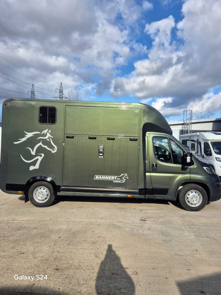 Opel Bannert Koniowoz / Horse Truck / In Stock - Paardenvrachtwagen: afbeelding 4 Opel Bannert Koniowoz / Horse Truck / In Stock - Paardenvrachtwagen: afbeelding 4