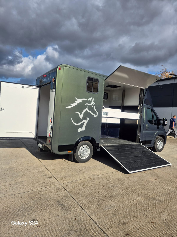 Opel Bannert Koniowoz / Horse Truck / In Stock - Paardenvrachtwagen: afbeelding 3 Opel Bannert Koniowoz / Horse Truck / In Stock - Paardenvrachtwagen: afbeelding 3