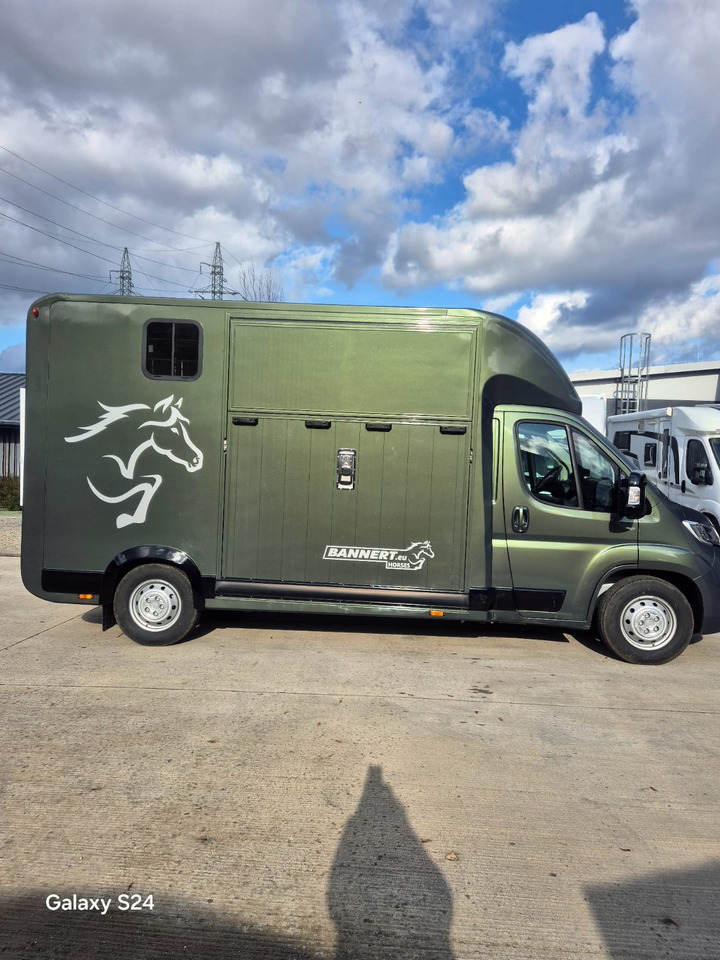 Opel Bannert Koniowoz / Horse Truck / In Stock - Paardenvrachtwagen: afbeelding 5 Opel Bannert Koniowoz / Horse Truck / In Stock - Paardenvrachtwagen: afbeelding 5
