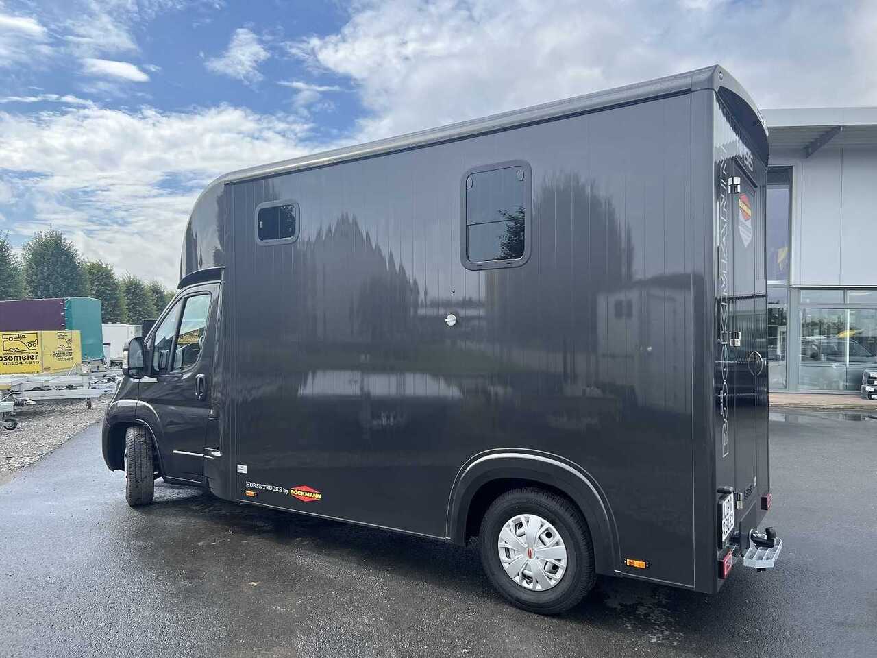 Fiat Böckmann Compact Basic LKW - Paardenvrachtwagen: afbeelding 4 Fiat Böckmann Compact Basic LKW - Paardenvrachtwagen: afbeelding 4