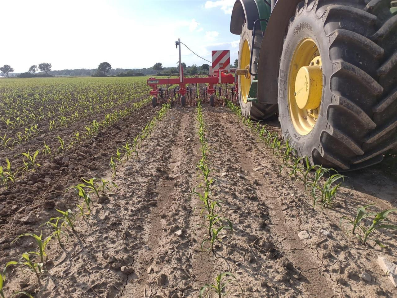 Firestone 460/85R42 480/70R30 - Band: afbeelding 5 Firestone 460/85R42 480/70R30 - Band: afbeelding 5