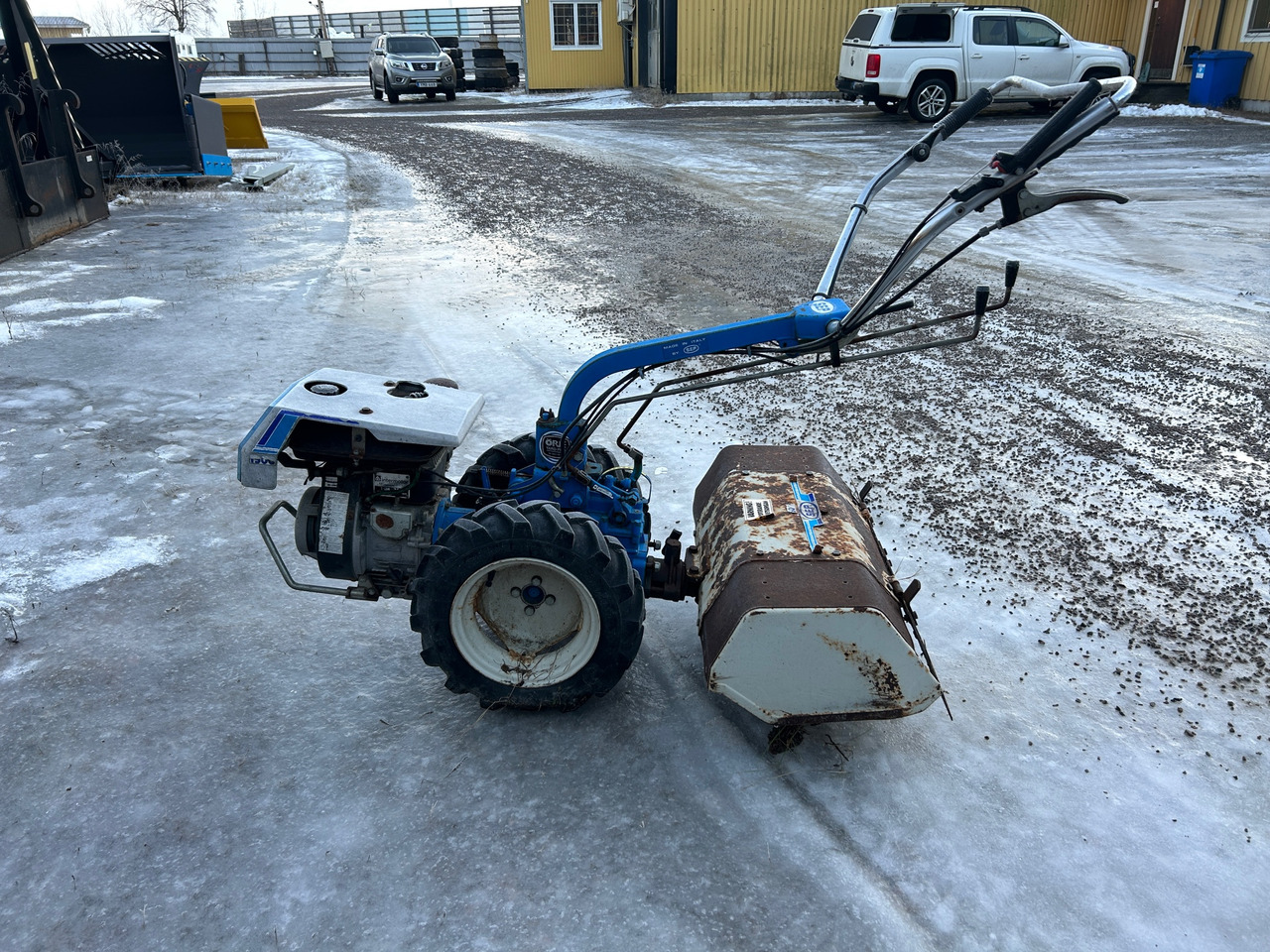 Örje - Tuinfrees: afbeelding 1 Örje - Tuinfrees: afbeelding 1