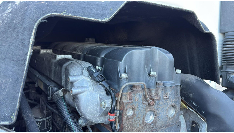 Chassis vrachtwagen Renault Premium 320 (FULL STEEL / LAMES / BOITE MANUELLE / MANUAL GEARBOX): afbeelding 16