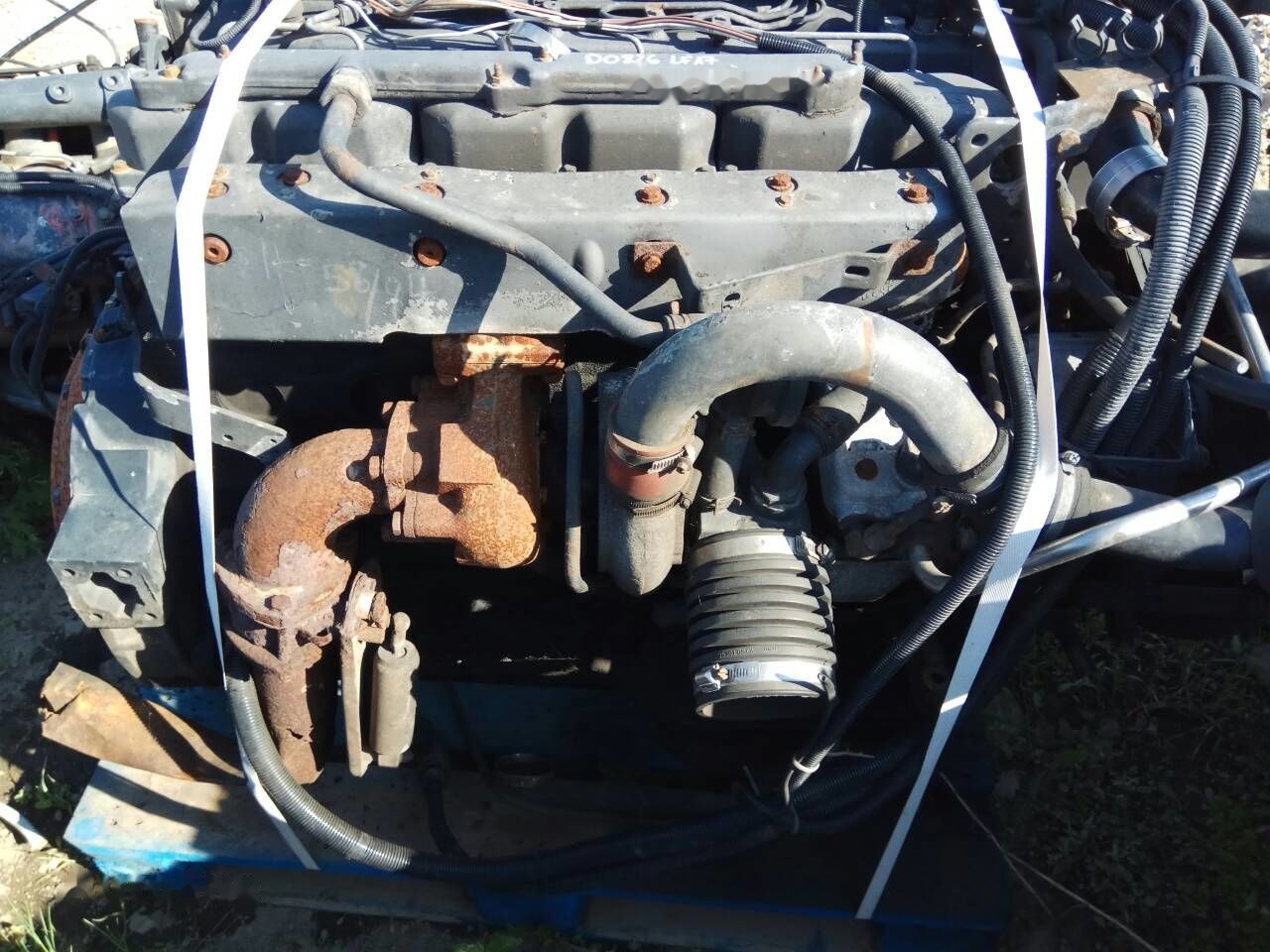 MAN D0826 LF17 264 E2 MAN - Motor voor Vrachtwagen: afbeelding 2 MAN D0826 LF17 264 E2 MAN - Motor voor Vrachtwagen: afbeelding 2