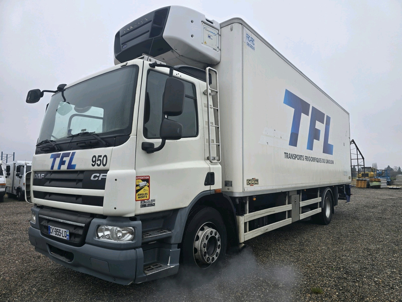 DAF CF75.310 - Koelwagen vrachtwagen: afbeelding 1 DAF CF75.310 - Koelwagen vrachtwagen: afbeelding 1