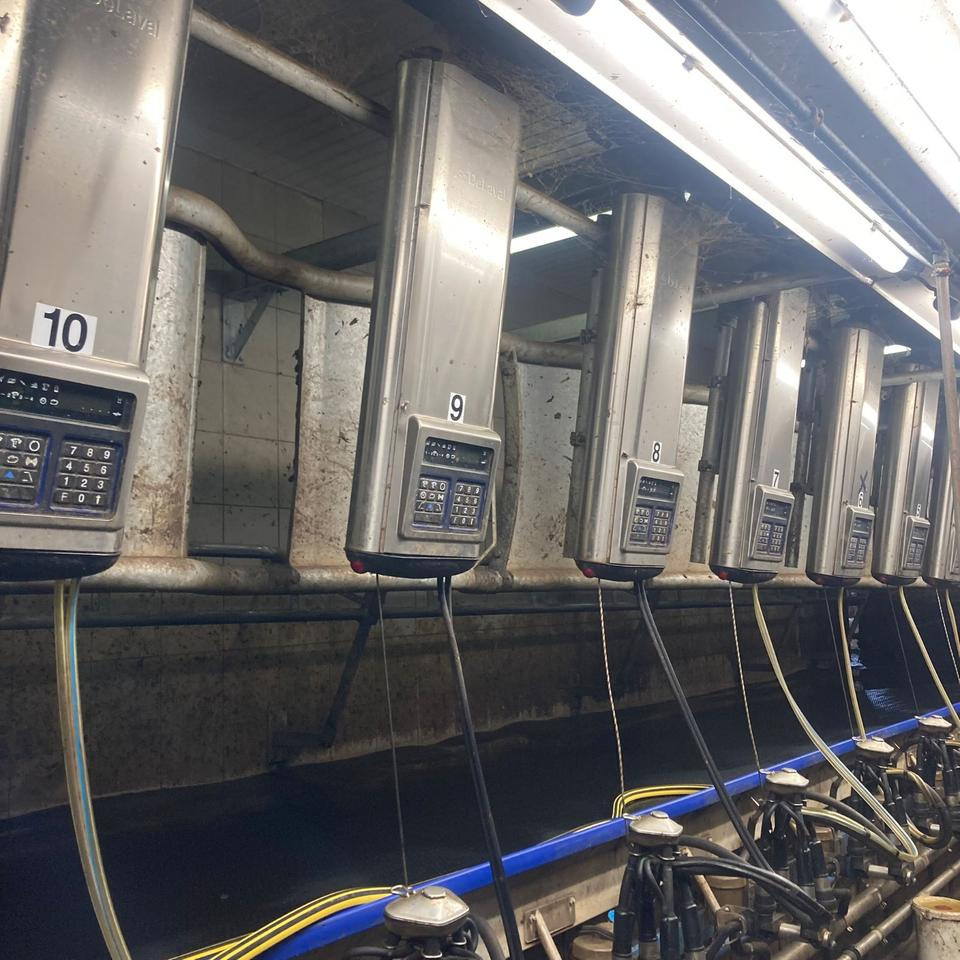 DeLaval Fischgrätenmelkstand Doppel 10er - Melkapparatuur: afbeelding 1 DeLaval Fischgrätenmelkstand Doppel 10er - Melkapparatuur: afbeelding 1