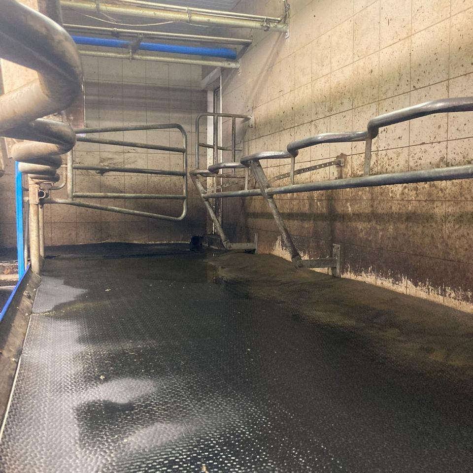 DeLaval Fischgrätenmelkstand Doppel 10er - Melkapparatuur: afbeelding 2 DeLaval Fischgrätenmelkstand Doppel 10er - Melkapparatuur: afbeelding 2