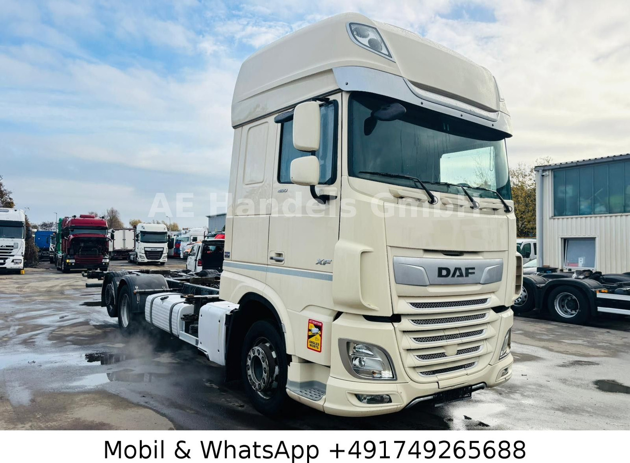 DAF XF 480 SSC LL BDF *Retarder/ACC/Multi/Standklima - Containertransporter/ Wissellaadbak vrachtwagen: afbeelding 1 DAF XF 480 SSC LL BDF *Retarder/ACC/Multi/Standklima - Containertransporter/ Wissellaadbak vrachtwagen: afbeelding 1