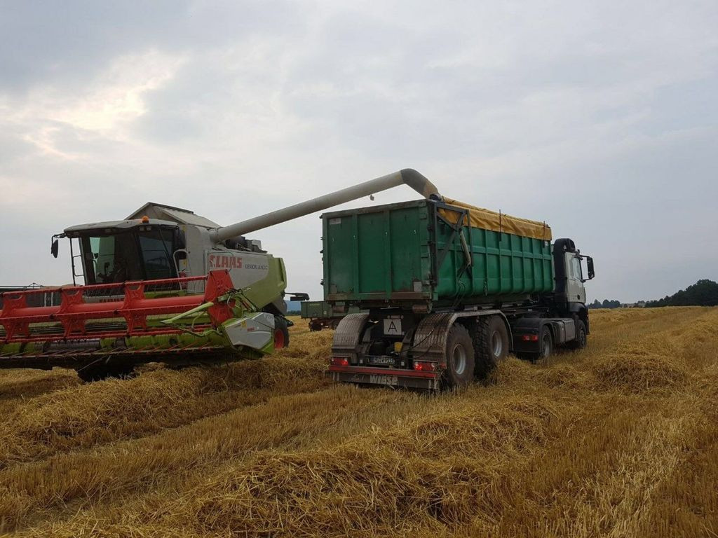 Auflieger Abrollkipper Hakenlift Agrar - Containertransporter/ Wissellaadbak oplegger: afbeelding 3 Auflieger Abrollkipper Hakenlift Agrar - Containertransporter/ Wissellaadbak oplegger: afbeelding 3