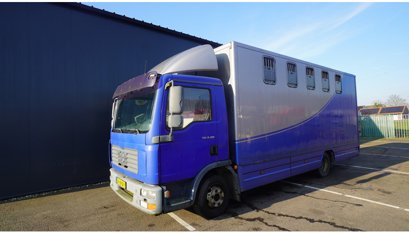 MAN TGL 8.180 HORSE TRANPORT 515.000KM - Paardenvrachtwagen: afbeelding 3 MAN TGL 8.180 HORSE TRANPORT 515.000KM - Paardenvrachtwagen: afbeelding 3