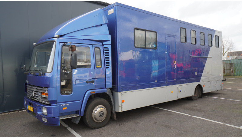 Volvo FL 6-9 HORSE TRANSPORT 341.000KM MANUAL GEARBOX - Paardenvrachtwagen: afbeelding 3 Volvo FL 6-9 HORSE TRANSPORT 341.000KM MANUAL GEARBOX - Paardenvrachtwagen: afbeelding 3