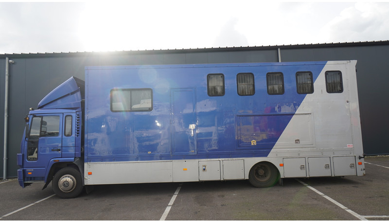 Volvo FL 6-9 HORSE TRANSPORT 341.000KM MANUAL GEARBOX - Paardenvrachtwagen: afbeelding 1 Volvo FL 6-9 HORSE TRANSPORT 341.000KM MANUAL GEARBOX - Paardenvrachtwagen: afbeelding 1