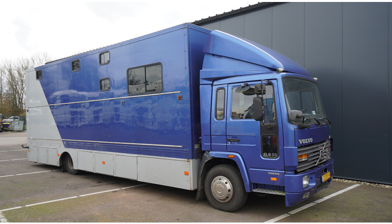 Volvo FL 6-9 HORSE TRANSPORT 341.000KM MANUAL GEARBOX - Paardenvrachtwagen: afbeelding 4 Volvo FL 6-9 HORSE TRANSPORT 341.000KM MANUAL GEARBOX - Paardenvrachtwagen: afbeelding 4