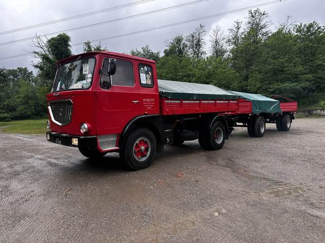 Lancia Esadelta C402 020 - Vrachtwagen met open laadbak: afbeelding 1 Lancia Esadelta C402 020 - Vrachtwagen met open laadbak: afbeelding 1