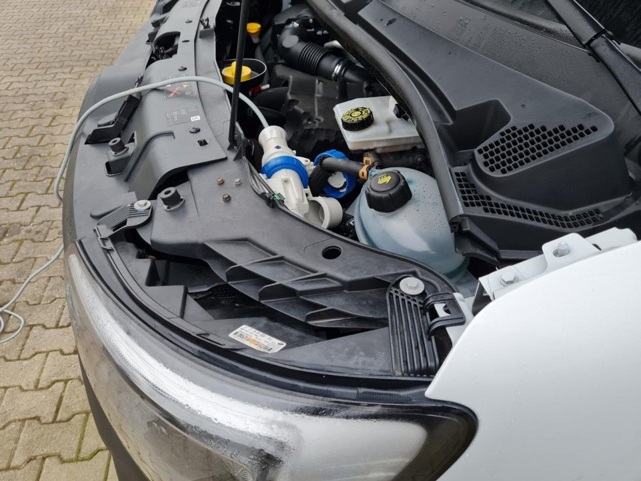 Koelwagen Renault Master 3.5t Kühlkasten L3H2 Stand+Fahrkühlung ER: afbeelding 23