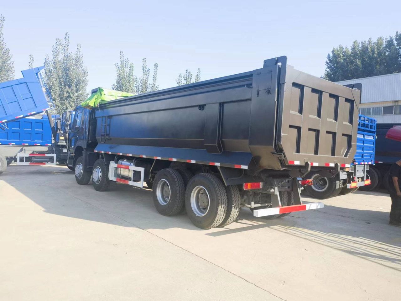 Kipper vrachtwagen Sinotruk HOWO 8*4 Dump truck: afbeelding 9