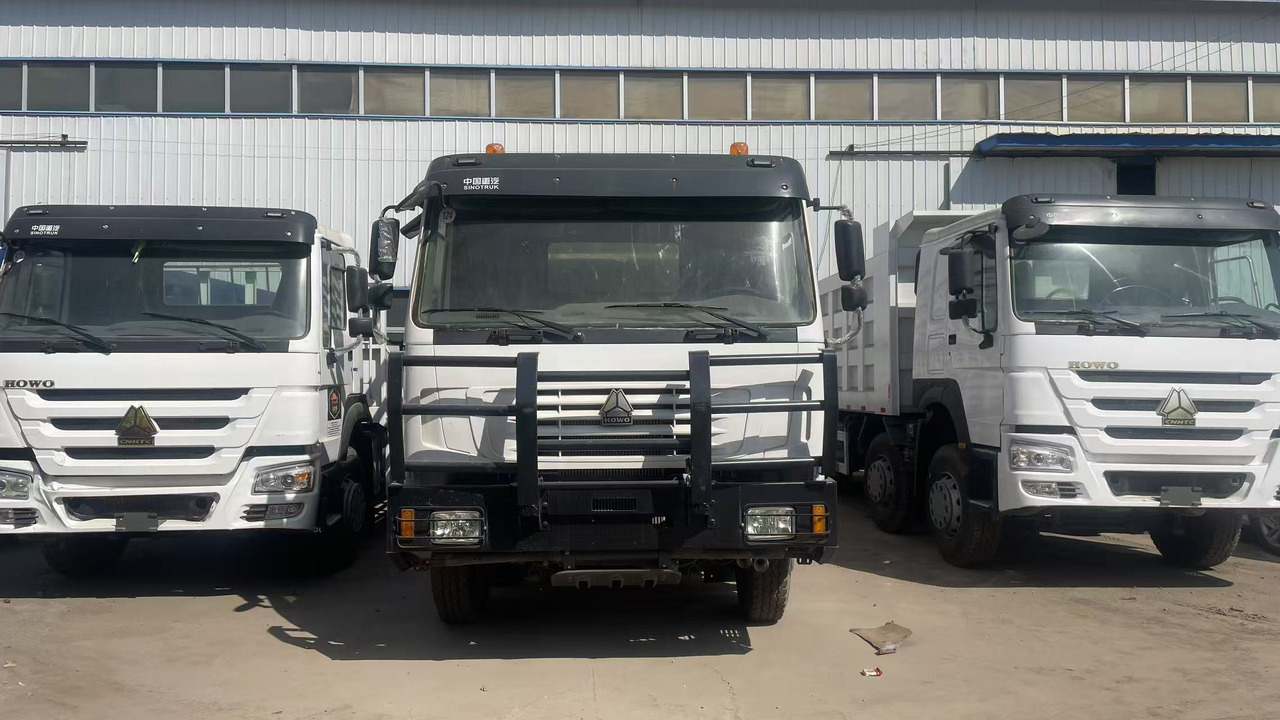SINOTRUK HOWO 8*4 WITH FENCE 12 WHEELS TIRES 6*4 371 375 380 400 420 HP - Veewagen vrachtwagen: afbeelding 1 SINOTRUK HOWO 8*4 WITH FENCE 12 WHEELS TIRES 6*4 371 375 380 400 420 HP - Veewagen vrachtwagen: afbeelding 1