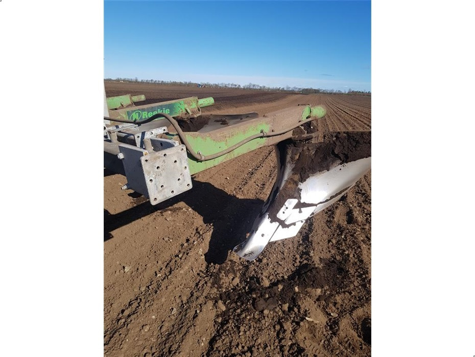 Reekie
4 elementer - Ploeg: afbeelding 3 Reekie
4 elementer - Ploeg: afbeelding 3