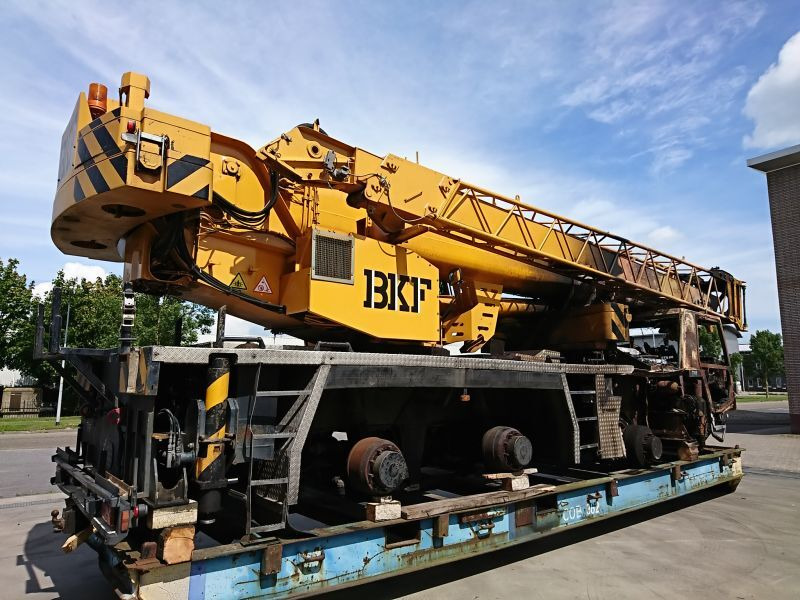 Tadano Faun ATF 45-3 - Mobiele kraan: afbeelding 2 Tadano Faun ATF 45-3 - Mobiele kraan: afbeelding 2