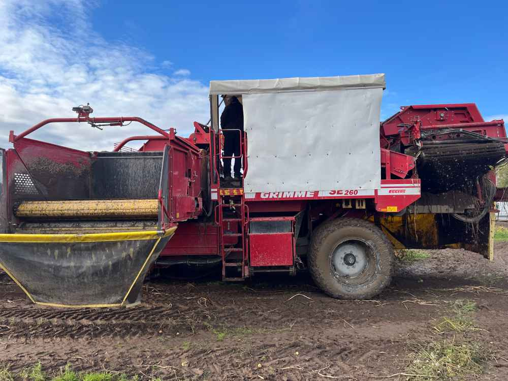 Grimme SE-260-UB - Oogstmachine: afbeelding 5 Grimme SE-260-UB - Oogstmachine: afbeelding 5