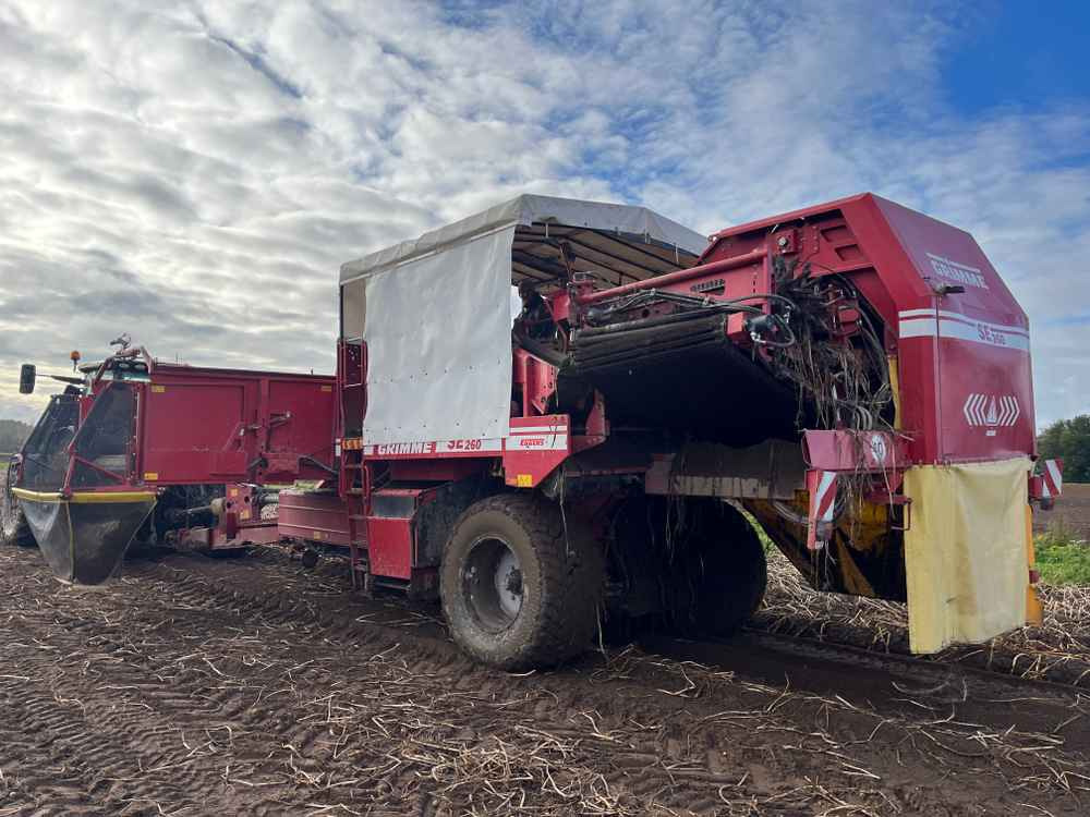 Grimme SE-260-UB - Oogstmachine: afbeelding 4 Grimme SE-260-UB - Oogstmachine: afbeelding 4