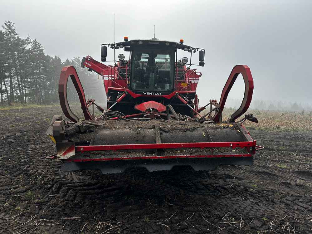 Grimme VENTOR 4150 ClodSep - Oogstmachine: afbeelding 2 Grimme VENTOR 4150 ClodSep - Oogstmachine: afbeelding 2