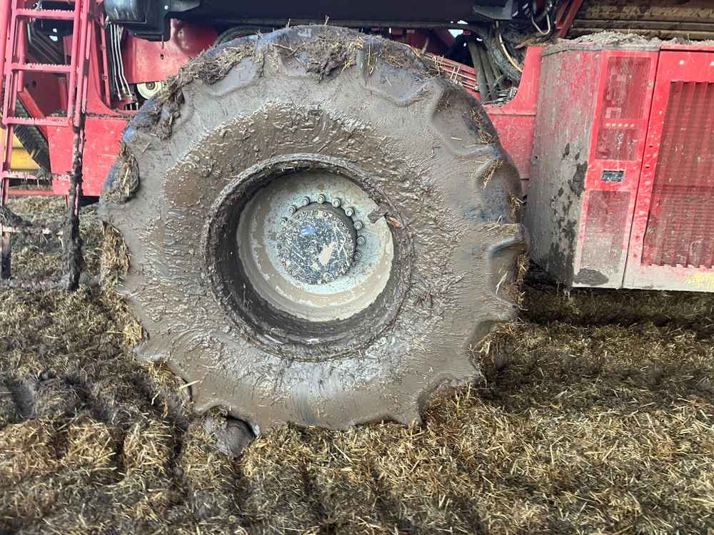 Grimme VARITRON 270 PLATINUM TT - Oogstmachine: afbeelding 5 Grimme VARITRON 270 PLATINUM TT - Oogstmachine: afbeelding 5