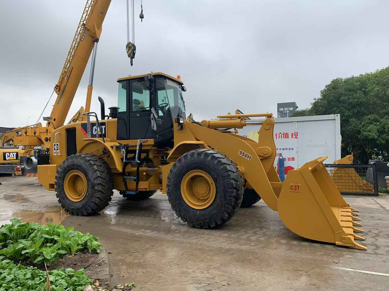 Caterpillar Wheel Loader CAT 950H, 950G Secondhand Condition - Wiellader: afbeelding 2 Caterpillar Wheel Loader CAT 950H, 950G Secondhand Condition - Wiellader: afbeelding 2