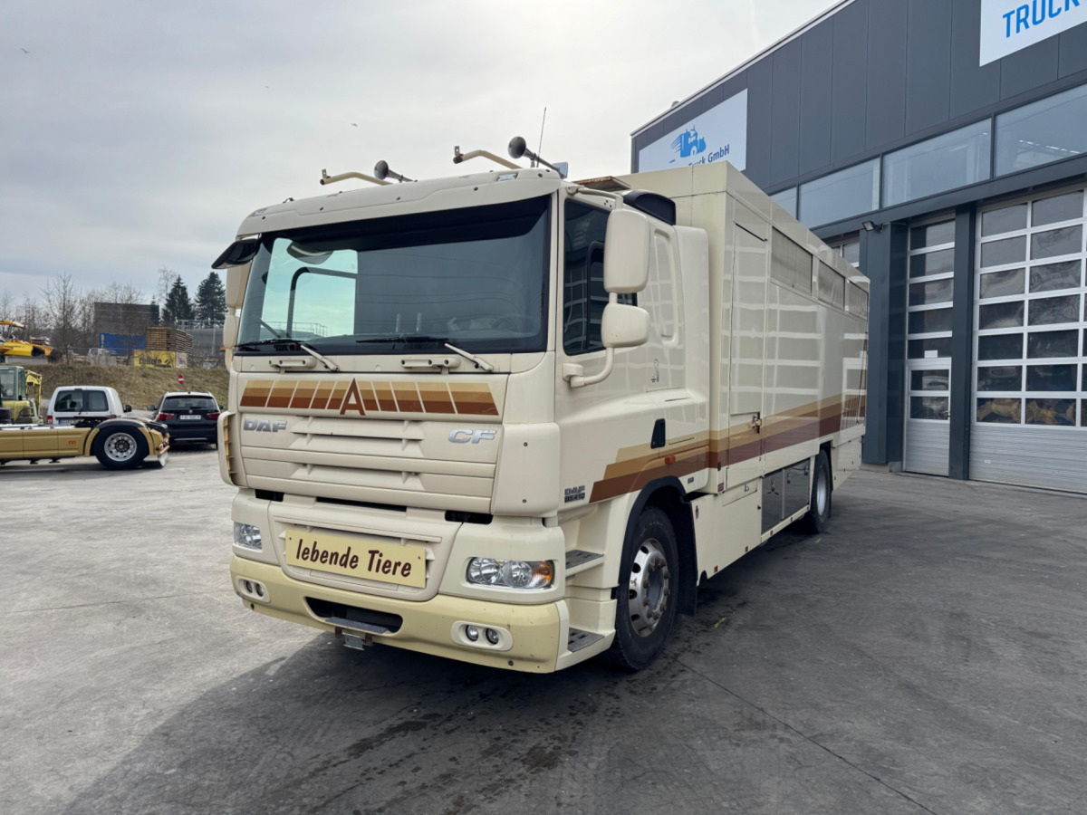 DAF CF410 4x2 - Veewagen vrachtwagen: afbeelding 1 DAF CF410 4x2 - Veewagen vrachtwagen: afbeelding 1