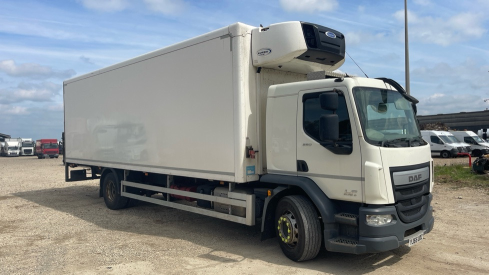 DAF LF 250 - Koelwagen vrachtwagen: afbeelding 1 DAF LF 250 - Koelwagen vrachtwagen: afbeelding 1
