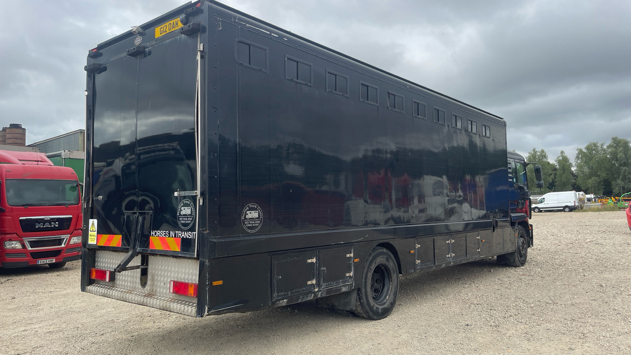 Man TGM 18.240 - Paardenvrachtwagen: afbeelding 4 Man TGM 18.240 - Paardenvrachtwagen: afbeelding 4