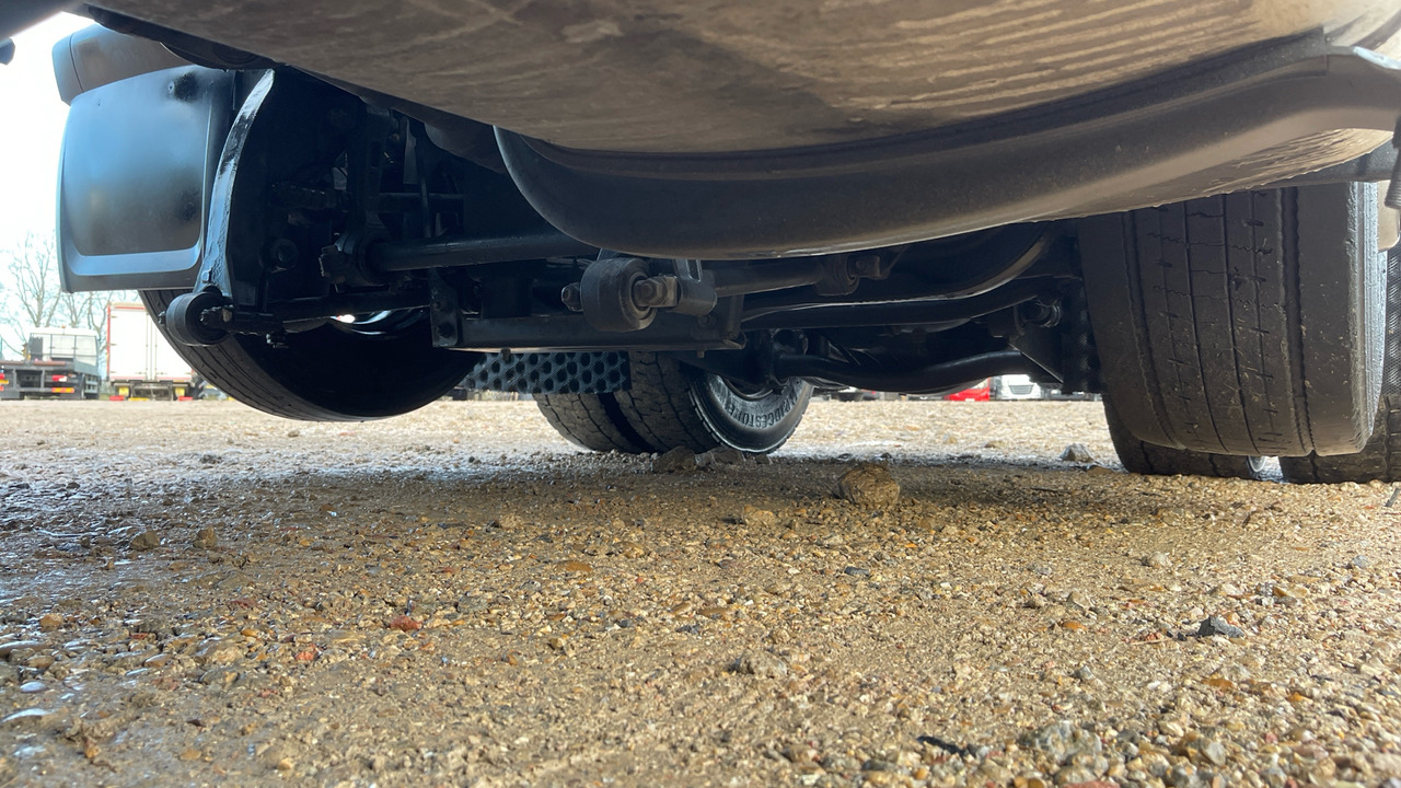 Trekker DAF XF 530: afbeelding 12