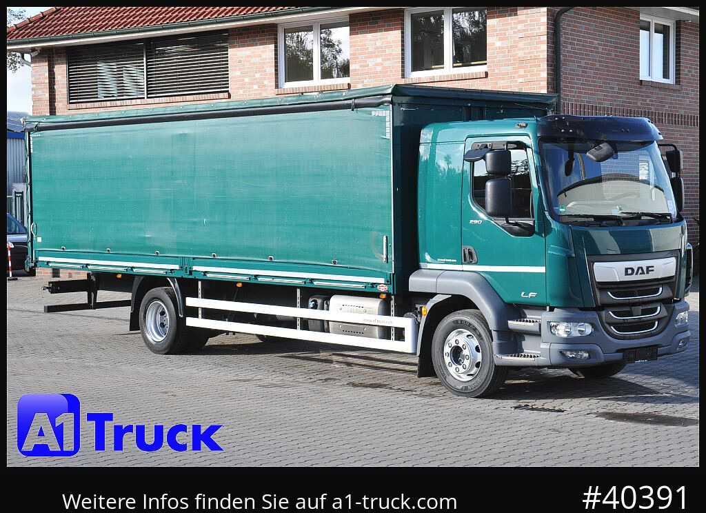 DAF LF 290, Klima, zul. GG 16.000kg, 1 Vorbesitzer - Schuifzeilen vrachtwagen: afbeelding 1 DAF LF 290, Klima, zul. GG 16.000kg, 1 Vorbesitzer - Schuifzeilen vrachtwagen: afbeelding 1