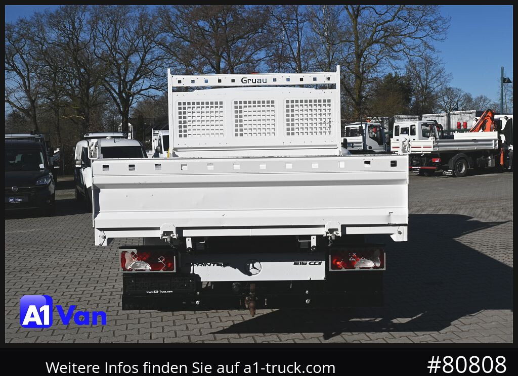 Kipper bestelwagen MERCEDES-BENZ Sprinter 314 Kipper, Klima, AHK,: afbeelding 10