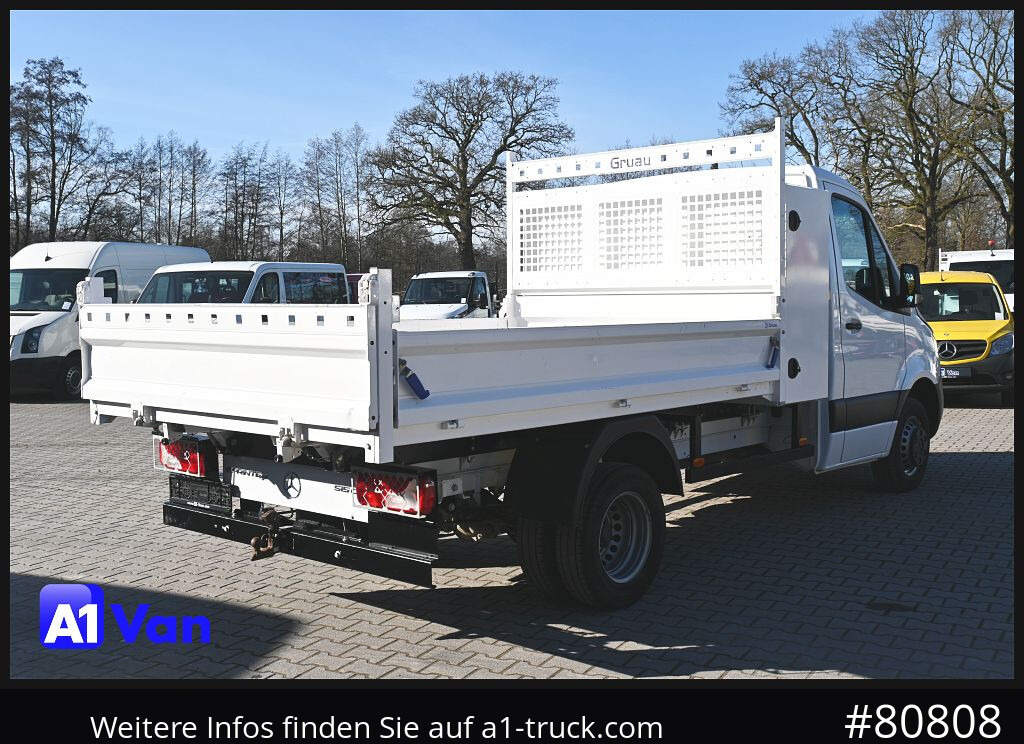Kipper bestelwagen MERCEDES-BENZ Sprinter 314 Kipper, Klima, AHK,: afbeelding 9
