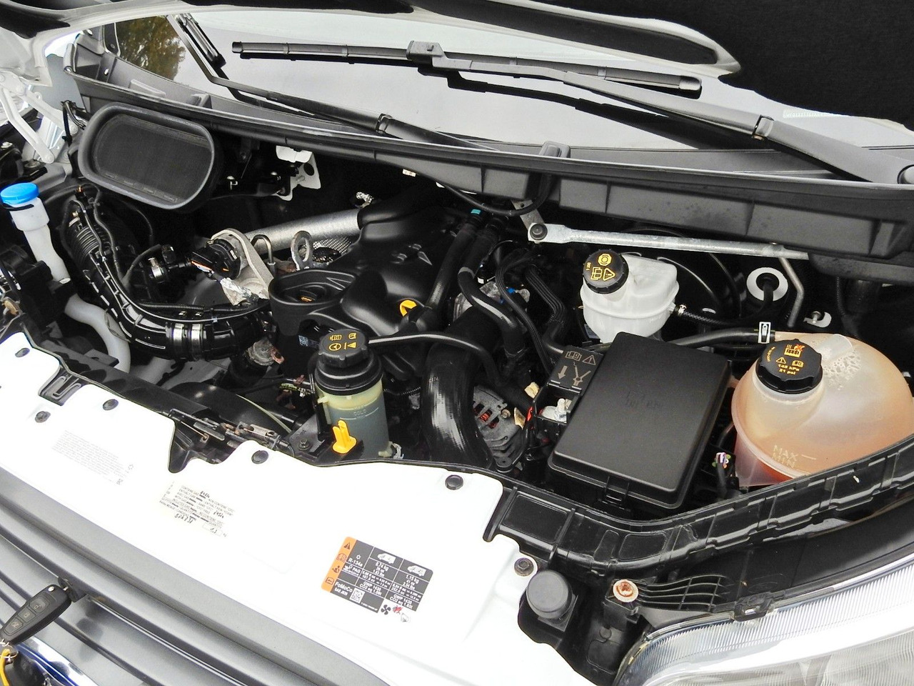 Koelwagen Ford TRANSIT KÜHLKASTENWAGEN 0*C HEIZFUNKTION Ford TRANSIT KÜHLKASTENWAGEN 0*C HEIZFUNKTION: afbeelding 20
