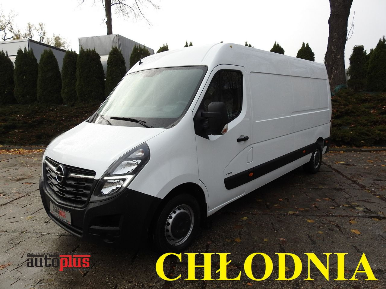 OPEL MOVANO - Koelwagen: afbeelding 1 OPEL MOVANO - Koelwagen: afbeelding 1