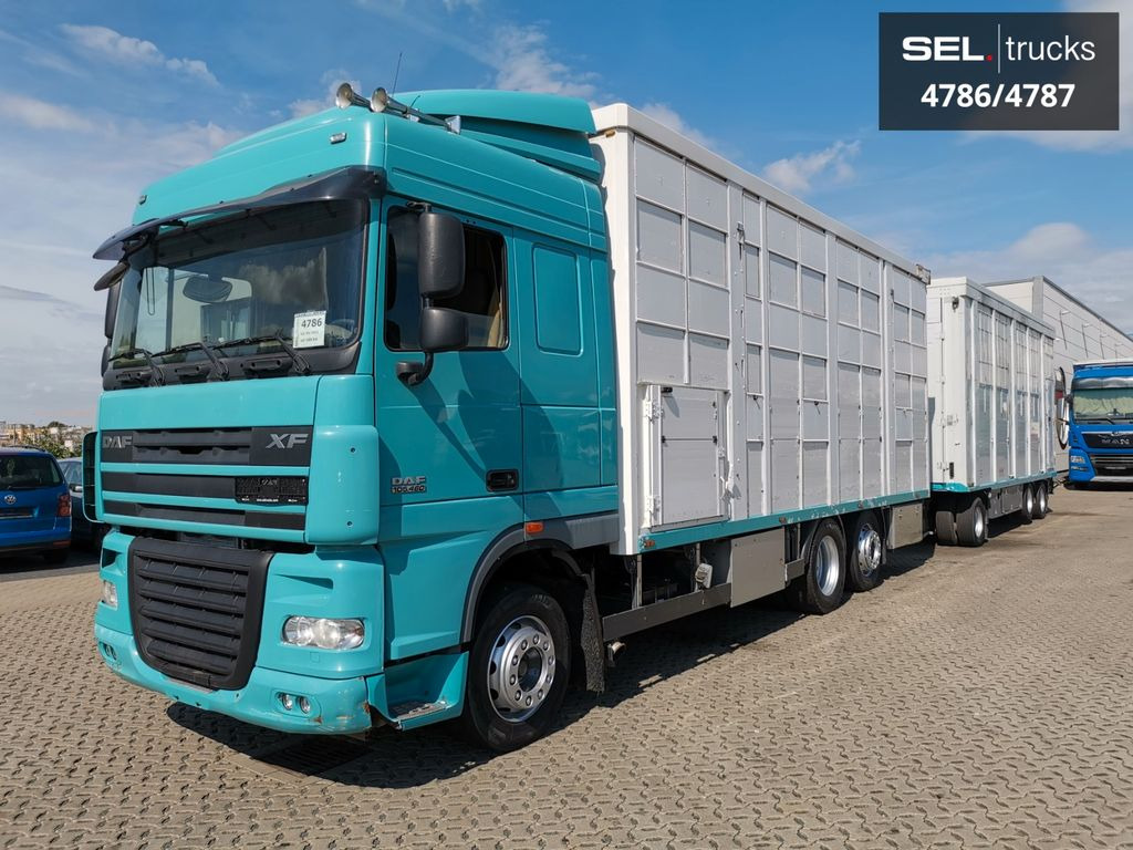 DAF XF 105.460 / Intarder / 4 Stock / KOMPLETT ! DAF XF 105.460 / Intarder / 4 Stock / KOMPLETT ! - Veewagen vrachtwagen: afbeelding 2 DAF XF 105.460 / Intarder / 4 Stock / KOMPLETT ! DAF XF 105.460 / Intarder / 4 Stock / KOMPLETT ! - Veewagen vrachtwagen: afbeelding 2