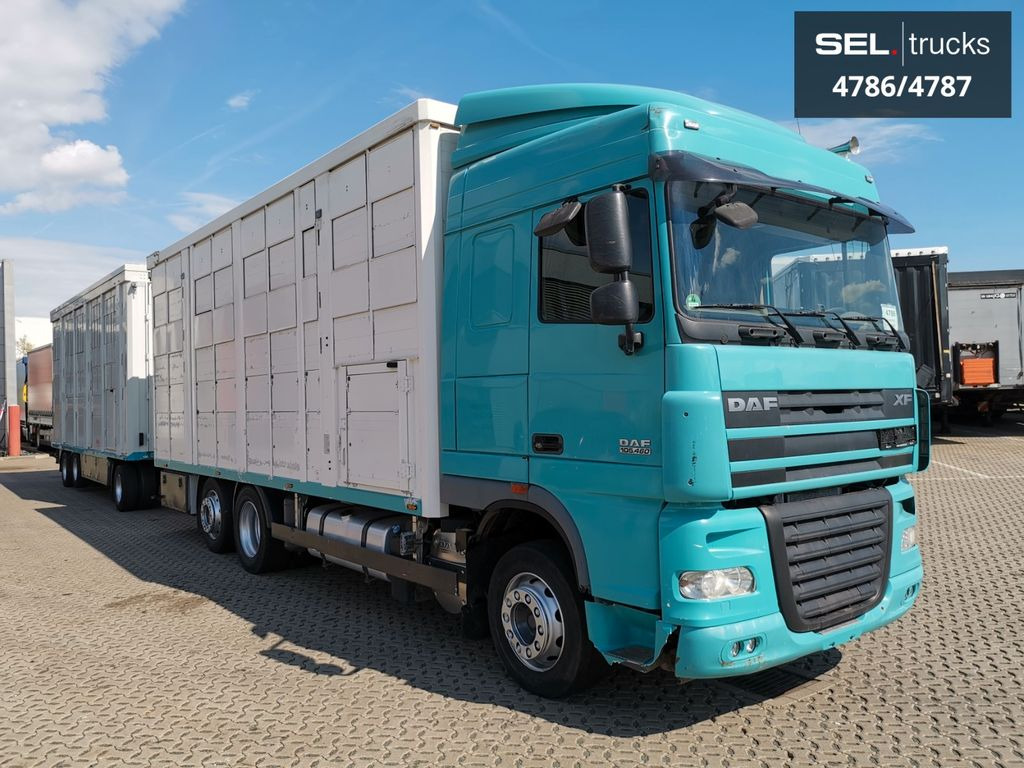 DAF XF 105.460 / Intarder / 4 Stock / KOMPLETT ! - Veewagen vrachtwagen: afbeelding 4 DAF XF 105.460 / Intarder / 4 Stock / KOMPLETT ! - Veewagen vrachtwagen: afbeelding 4