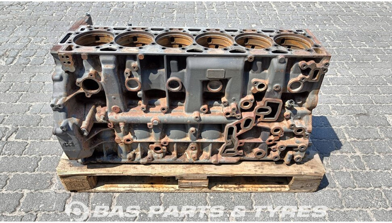 DAF Cilinderblok DAF 2117404 - Cilinderblok voor Vrachtwagen: afbeelding 1 DAF Cilinderblok DAF 2117404 - Cilinderblok voor Vrachtwagen: afbeelding 1