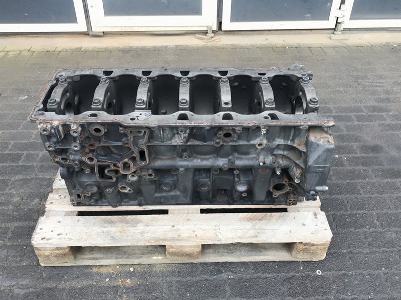 DAF Cilinderblok DAF 2117404 - Cilinderblok voor Vrachtwagen: afbeelding 1 DAF Cilinderblok DAF 2117404 - Cilinderblok voor Vrachtwagen: afbeelding 1