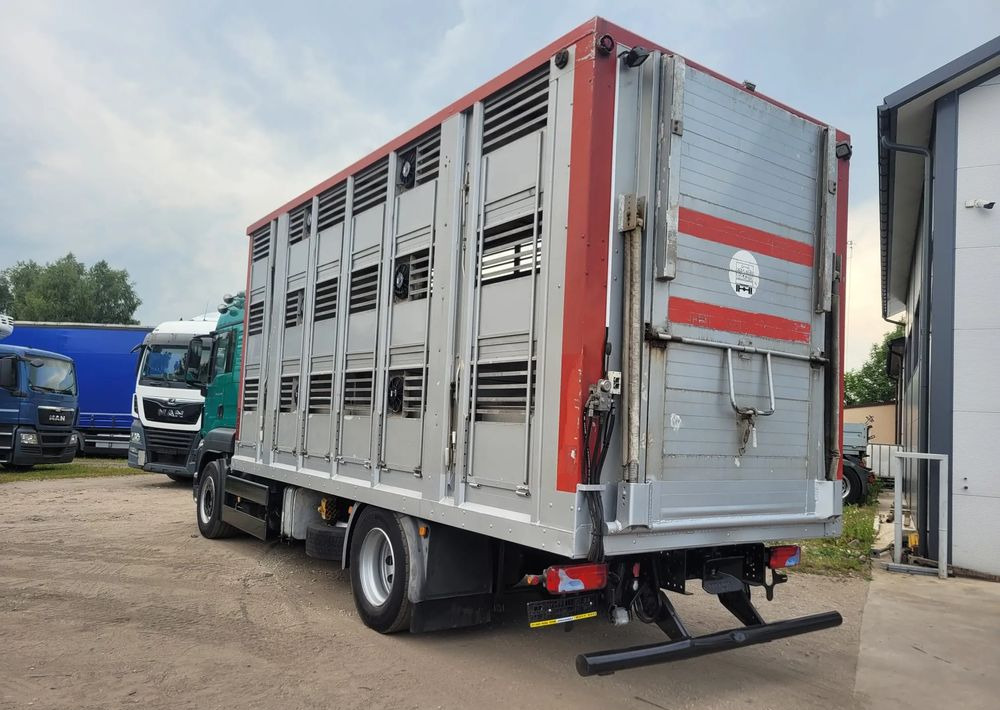 MAN TGS 18.400 Euro 6 do żywca - Veewagen vrachtwagen: afbeelding 3 MAN TGS 18.400 Euro 6 do żywca - Veewagen vrachtwagen: afbeelding 3