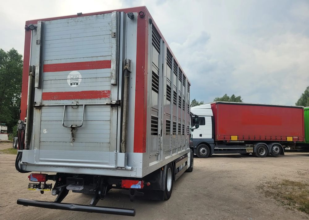 MAN TGS 18.400 Euro 6 do żywca - Veewagen vrachtwagen: afbeelding 4 MAN TGS 18.400 Euro 6 do żywca - Veewagen vrachtwagen: afbeelding 4