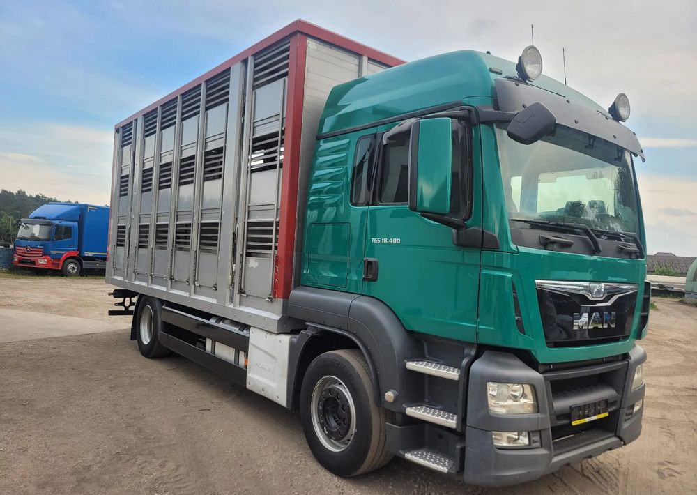 MAN TGS 18.400 Euro 6 do żywca - Veewagen vrachtwagen: afbeelding 2 MAN TGS 18.400 Euro 6 do żywca - Veewagen vrachtwagen: afbeelding 2