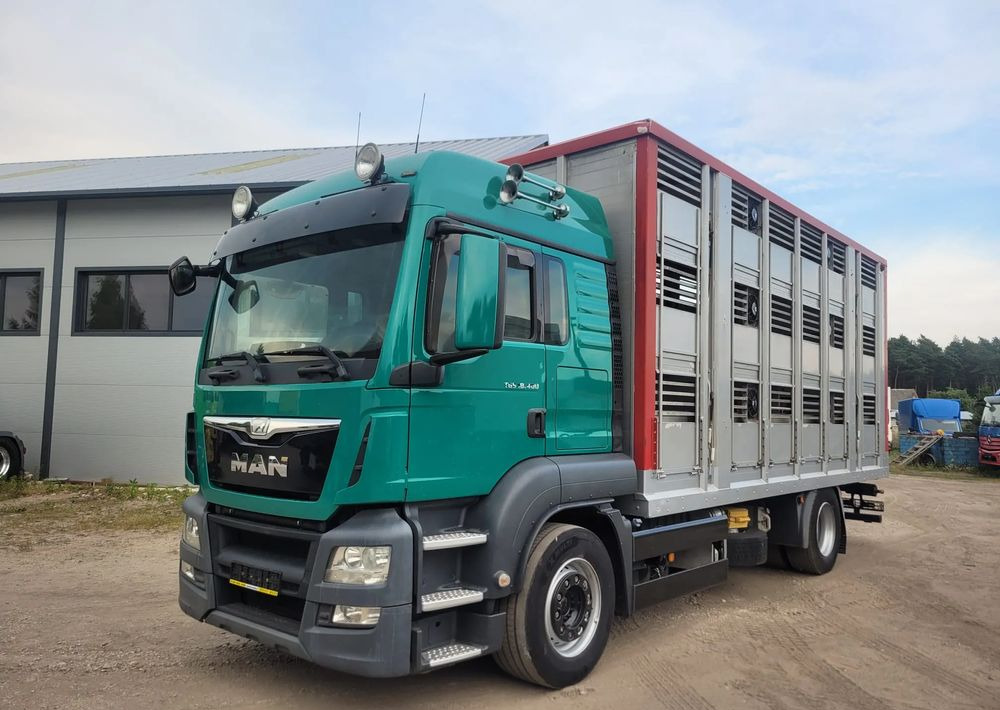 MAN TGS 18.400 Euro 6 do żywca - Veewagen vrachtwagen: afbeelding 1 MAN TGS 18.400 Euro 6 do żywca - Veewagen vrachtwagen: afbeelding 1