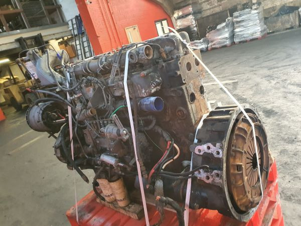 Motor DAF WS 242 M: afbeelding 9 Motor DAF WS 242 M: afbeelding 9