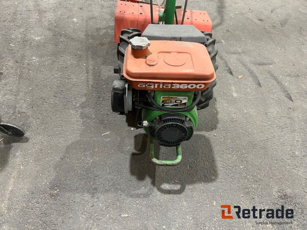 Jord Fres fra Agria 3366 - Tuinfrees: afbeelding 3 Jord Fres fra Agria 3366 - Tuinfrees: afbeelding 3